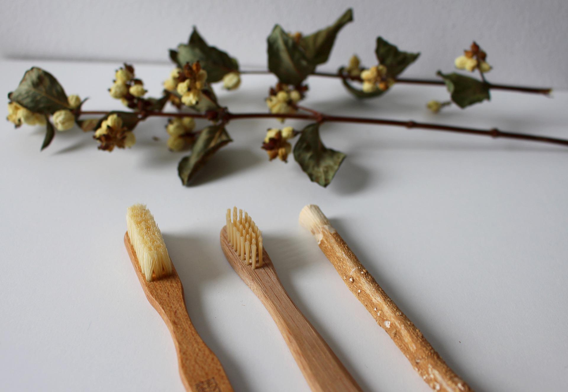Brosse à dent écologique