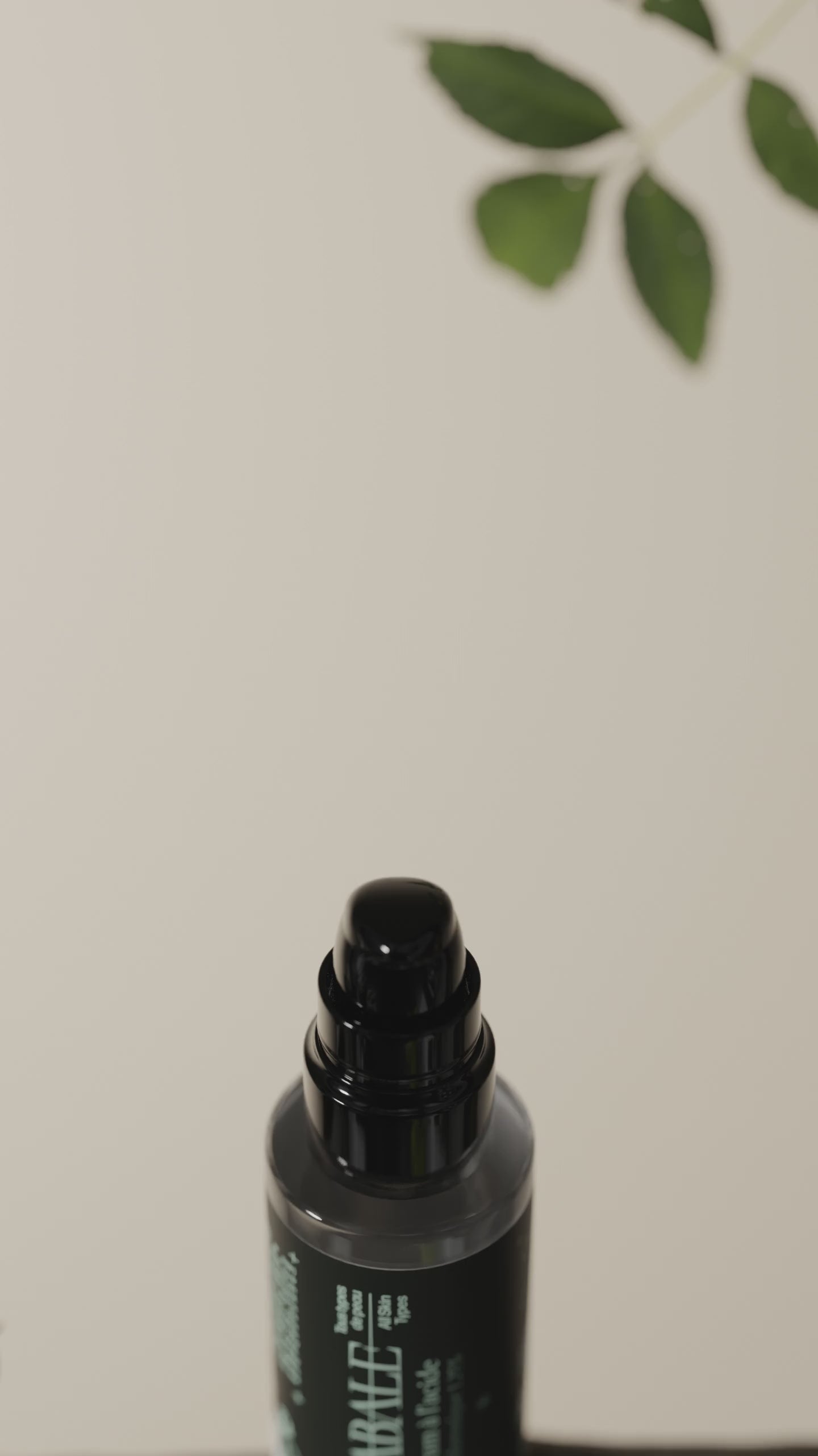 Charger la vidéo : 