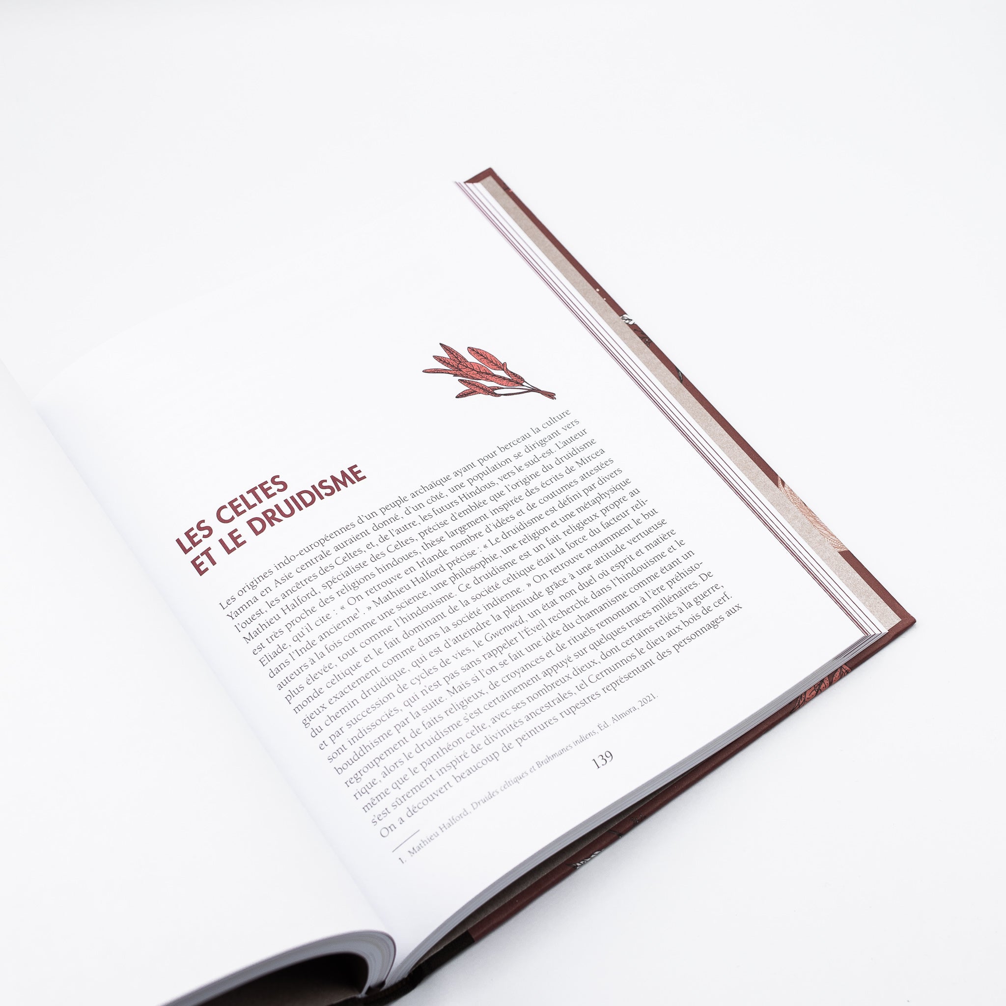 Livre ma bible du chamanisme