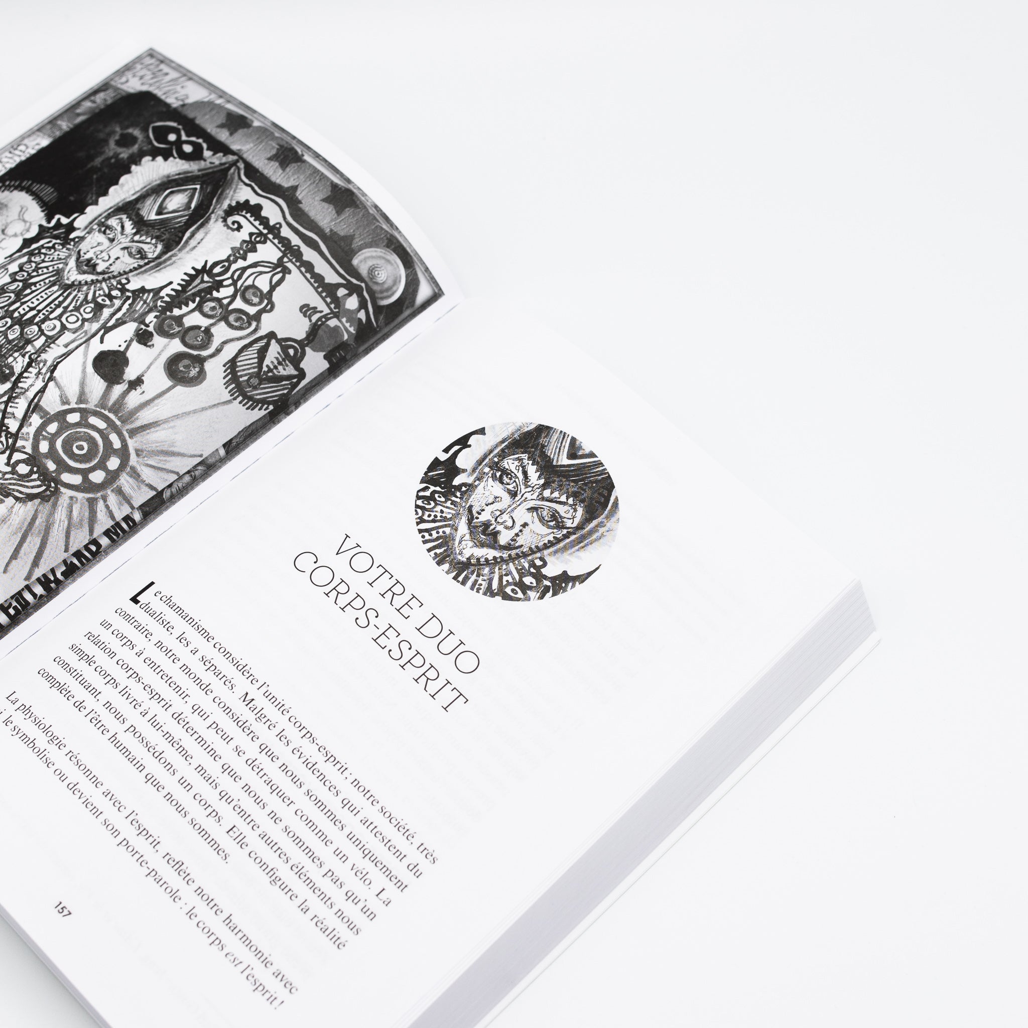 Livre secrets de chaman urbain